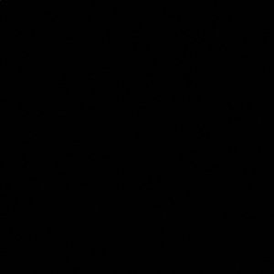 Meet your Posher, Dominque